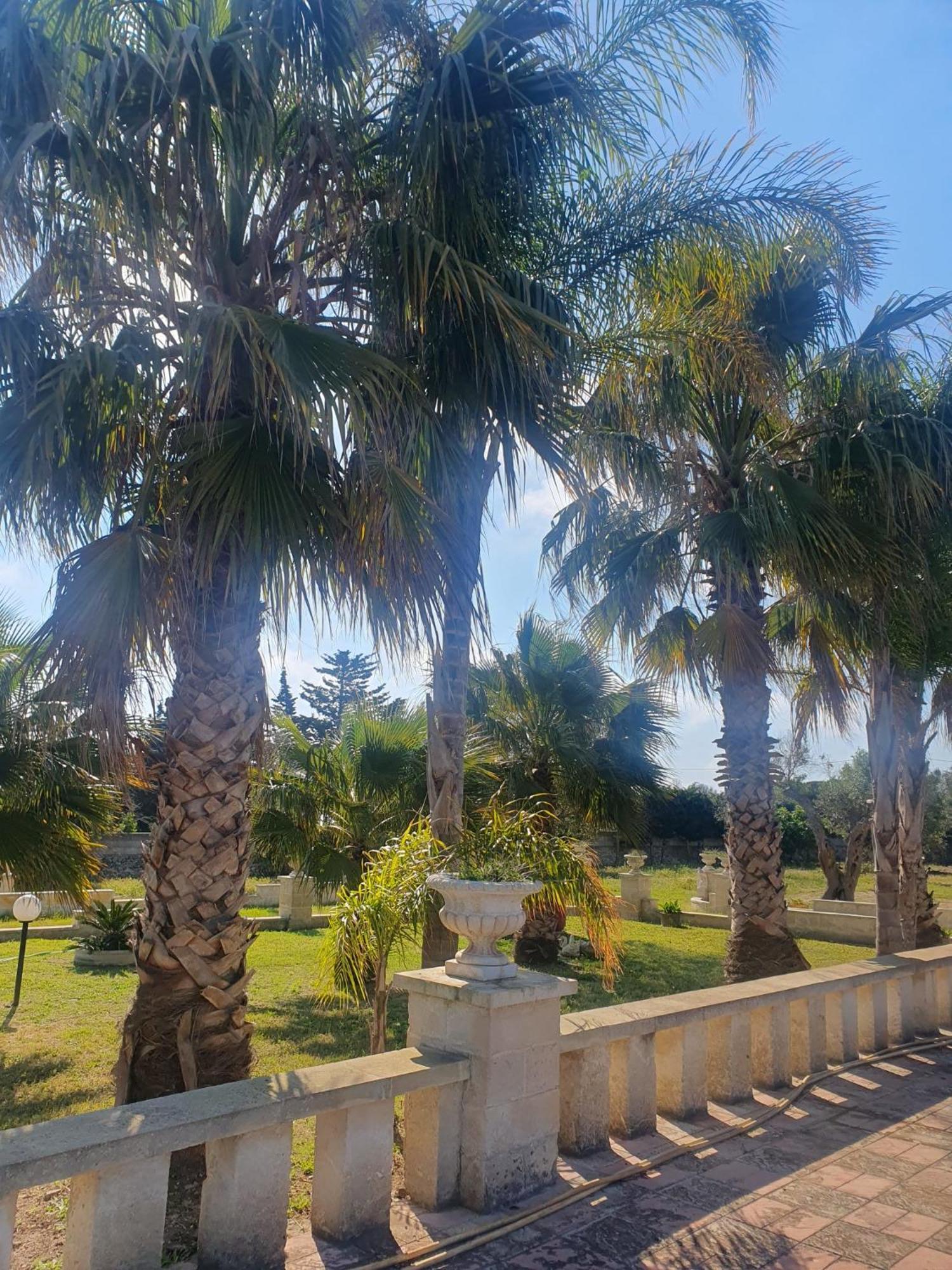 Il Ciclamino * Torre dell'Orso